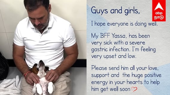 Rahul gandhi with dogs | ”BESTFRIEND-க்கு உடம்பு முடியல” நாயுடன் விளையாடும் ராகுல்! வைரல் வீடியோ