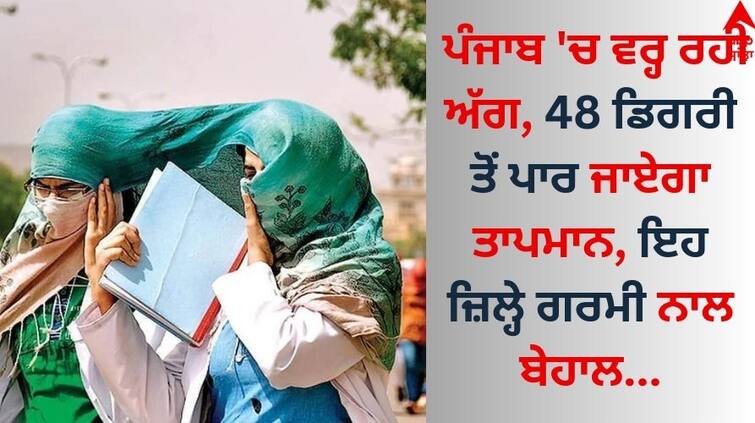 Punjab Weather Update Heat-wave-continues-in-punjab-weather-update-21 May 2024 Know latest forecast update Punjab Weather: ਪੰਜਾਬ 'ਚ ਵਰ੍ਹ ਰਹੀ ਅੱਗ, 48 ਡਿਗਰੀ ਤੋਂ ਪਾਰ ਜਾਏਗਾ ਤਾਪਮਾਨ! ਇਹ ਜ਼ਿਲ੍ਹੇ ਗਰਮੀ ਨਾਲ ਬੇਹਾਲ