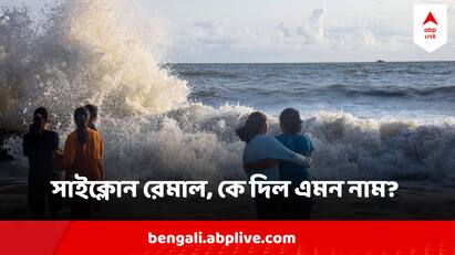 Cyclone Remal Update : আবহাওয়া দফতর জানাচ্ছে, দক্ষিণ-পশ্চিম মৌসুমি বায়ু গত ২৪ ঘন্টা একই জায়গায় অবস্থান করেছে, আগামী দু-তিন দিনের মধ্যে এর অগ্রগতি হবে বলে জানিয়েছে হাওয়া অফিস।
