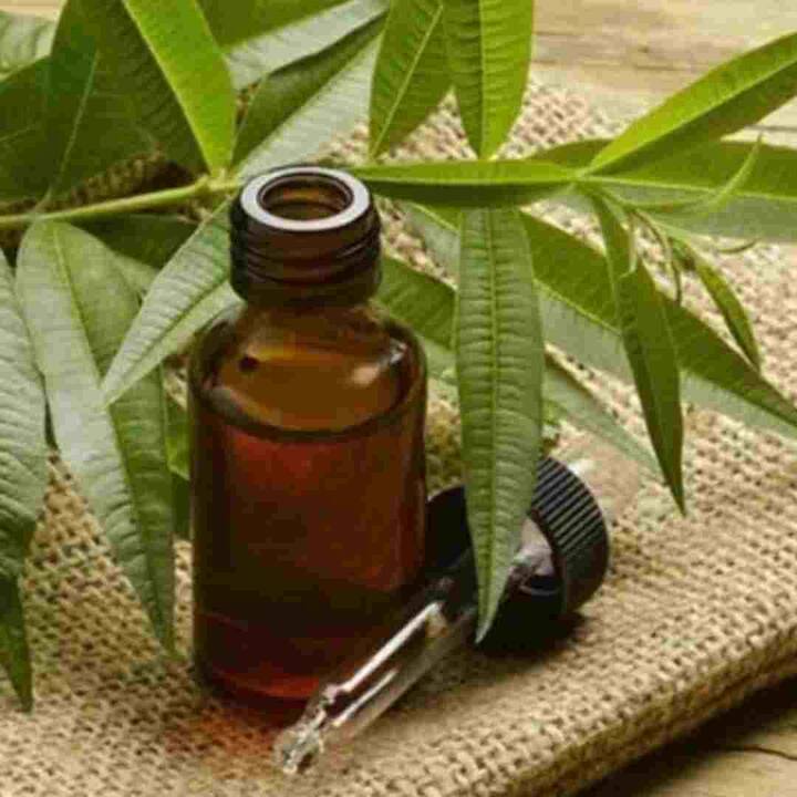 ਪਸੀਨੇ ਦੀ ਬਦਬੂ ਤੋਂ ਬਚਣ ਲਈ ਤੁਸੀਂ ਨਹਾਉਣ ਵਾਲੇ ਪਾਣੀ 'ਚ ਯੂਕਲਿਪਟਸ ਦਾ ਤੇਲ ਮਿਲਾ ਸਕਦੇ ਹੋ। ਪਸੀਨੇ ਦੀ ਬਦਬੂ ਨੂੰ ਦੂਰ ਕਰਨ ਦੇ ਨਾਲ-ਨਾਲ ਇਹ ਚਮੜੀ ਨੂੰ ਕਈ ਤਰ੍ਹਾਂ ਦੇ ਫੰਗਲ ਇਨਫੈਕਸ਼ਨ ਤੋਂ ਵੀ ਬਚਾਉਂਦਾ ਹੈ।