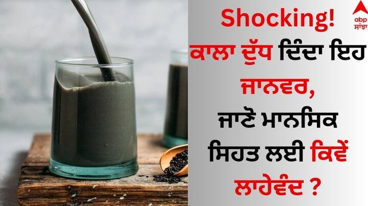 Black Milk: ਭਾਰਤ ਵਿੱਚ ਜ਼ਿਆਦਾਤਰ ਘਰਾਂ ਵਿੱਚ ਦੁੱਧ ਦੀ ਸਭ ਤੋਂ ਵੱਧ ਵਰਤੋਂ ਕੀਤੀ ਜਾਂਦੀ ਹੈ। ਘਰਾਂ ਵਿੱਚ ਚਾਹ, ਕੌਫੀ ਪੀਣ ਲਈ ਸਿਰਫ ਗਾਂ ਅਤੇ ਮੱਝ ਦਾ ਦੁੱਧ ਹੀ ਵਰਤਿਆ ਜਾਂਦਾ ਹੈ।