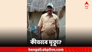South 24 Parganas: সুন্দরবনে বনকর্মীর মৃত্যুতে ধোঁয়াশা, কী কারণে খুন? উঠছে প্রশ্ন