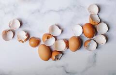 Egg Shell Uses : முட்டை ஓட்டை இப்படியெல்லாம் கூட பயன்படுத்தலாமா?