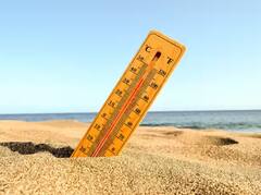 Summer: ਤੱਪਦੀ ਗਰਮੀ 'ਚ ਖੁਦ ਨੂੰ ਡੀਹਾਈਡ੍ਰੇਸ਼ਨ ਅਤੇ ਹੀਟ ਸਟ੍ਰੋਕ ਤੋਂ ਚਾਹੁੰਦੇ ਹੋ ਬਚਾਉਣਾ, ਤਾਂ ਡਾਈਟ 'ਚ ਸ਼ਾਮਲ ਕਰ ਲਓ ਆਹ ਚੀਜ਼ਾਂ