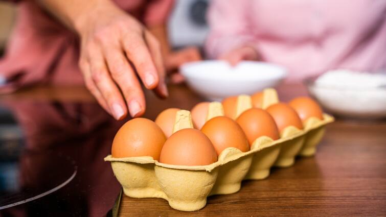 How many eggs can we eat in a day for good health Here are the experts suggestions How Many Eggs Can we Eat in a Day : రోజుకి ఎన్ని గుడ్లు తినొచ్చు? ఆ సమస్య ఉంటే లిమిట్​గా తీసుకుంటేనే మంచిదట