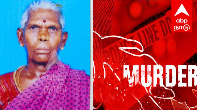 Villupuram crime Old woman murdered in Ilurar residence anichampalayam - TNN crime: இருளர் குடியிருப்பில் ரத்த வெள்ளத்தில் கிடந்த மூதாட்டி - விழுப்புரத்தில் பரபரப்பு