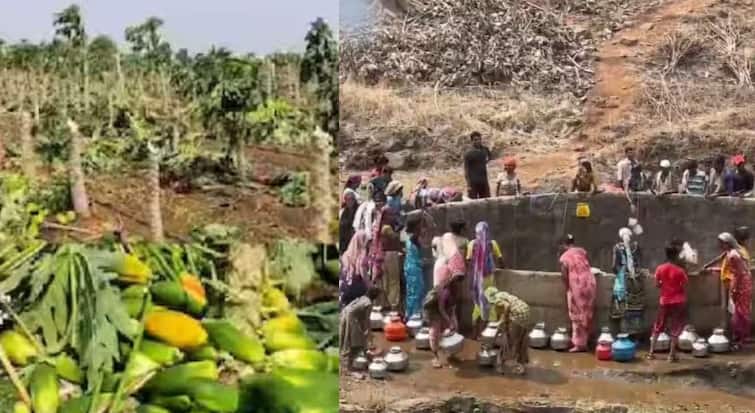 Marathwada many districts face water crisis along with unseasonal rain loss of crops in Chhatrapati Sambhajinagar maharashtra marathi news Marathwada News : अवकाळी आणि दुष्काळाच्या दृष्टचक्रात मराठवाडा; हंडाभर पाण्यासाठी पायपीट, तर अवकाळीनं तोंडचा घास हिरावला