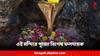 Mahadev: মহাদেবের এই মন্দির দর্শন করলে পাপমুক্তি, কেটে যায় বাধাবিঘ্ন! শিব দর্শনে ভক্তদের ভিড়