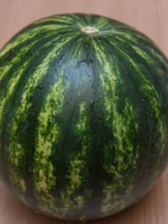 ये है दुनिया का सबसे महंगा तरबूज