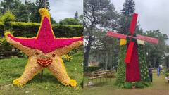 Yercaud 47th Flower Show : ஏற்காட்டில் தொடங்கிய கோடை மலர் கண்காட்சி விழா!