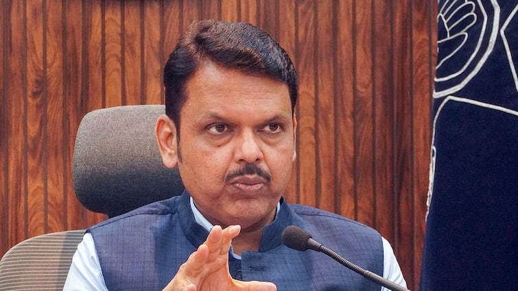 Maha Dy CM Fadnavis Reacts To Claims Of Pune Accident Accused's Family Link With Underworld: WATCH