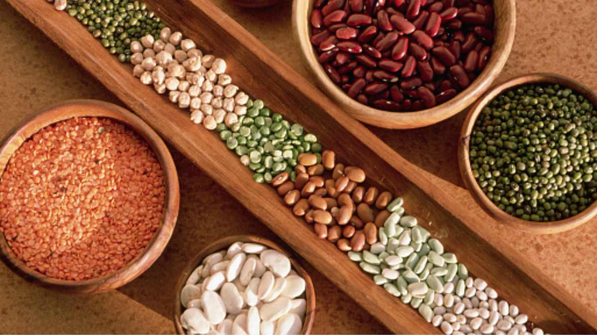 Report: India plans to import pulses to boost domestic supply and control rising prices