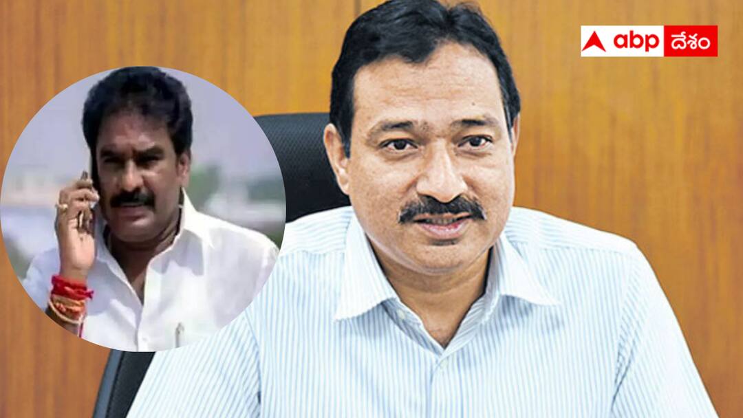 CEO Meena said that they have been trying to arrest Pinnelli for two days CEO Meena on Pinnelli arrest : పిన్నెల్లి అరెస్టుకు 2 రోజులుగా ప్రయత్నం - ఏడేళ్ల జైలు శిక్ష - సీఈవో ఎంకే మీనా కీలక వ్యాఖ్యలు