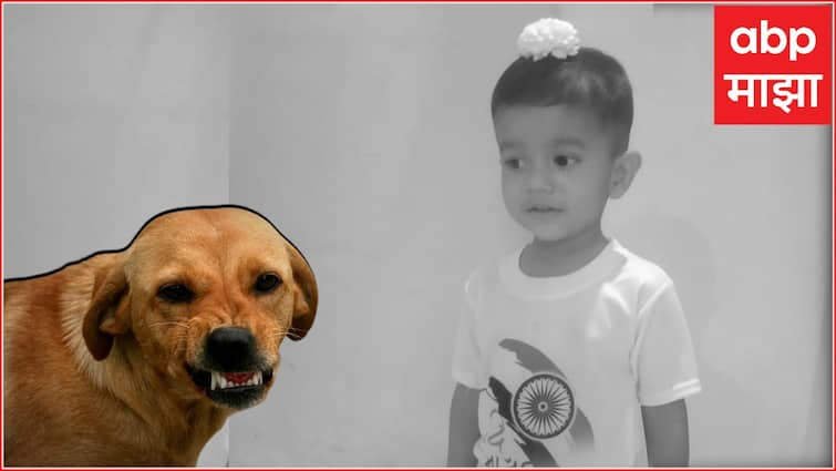 Nagpur Crime News three year old boy died because of Bitten by stray dog Shocking incident in Nagpur भटक्या कुत्र्यानं लचके तोडल्यानं तीन वर्षांच्या मुलाचा दुर्दैवी अंत; नागपुरातील धक्कादायक घटना