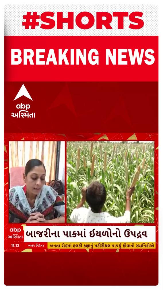 Banaskantha Rain Damage |  વાવાઝોડાએ એવો વેર્યો વિનાશ કે બાજરી અને પપૈયાના પાક પર ફરી વળ્યું પાણી