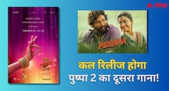 अल्लू अर्जुन स्टारर 