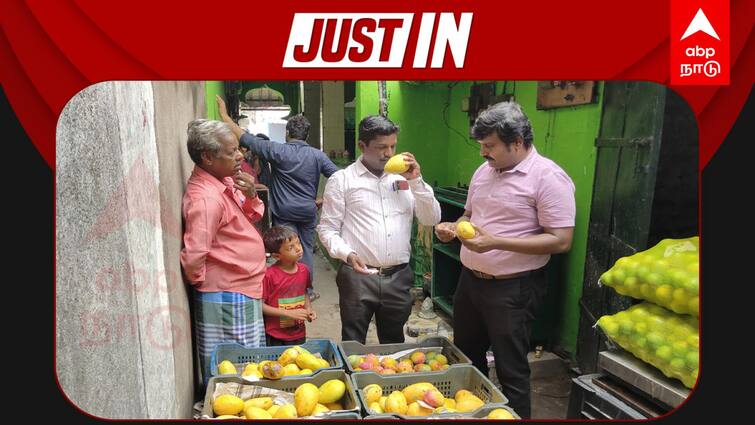 500 kg of mangoes and 500 kg of bananas ripened artificially with chemicals seized ரசாயனங்கள் மூலம் பழுக்க வைக்கப்பட்ட தலா 500 கிலோ மா, வாழை: அதிகாரிகளின் அதிரடி முடிவு