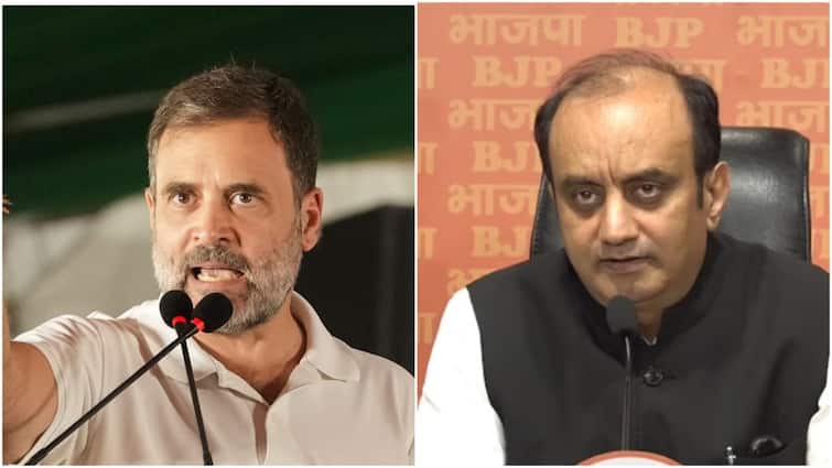 Pune Porsche Accident Rahul Gandhi Two Indias PM Modi BJP Reply video On Rahul Gandhi's 'Two Indias' Dig At PM Modi Over Pune Porsche Accident, BJP Says 'Ask Your Friends To...'
