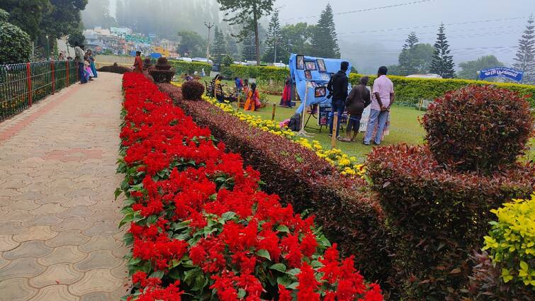 Yercaud Flower Show Summer Festival start today 7 lakh flowers waiting to entertain tourists - TNN Yercaud Flower Show: ஏற்காடு கோடை விழா - சுற்றுலா பயணிகளுக்கு விருந்தளிக்க காத்திருக்கும் 7 லட்சம் மலர்கள்