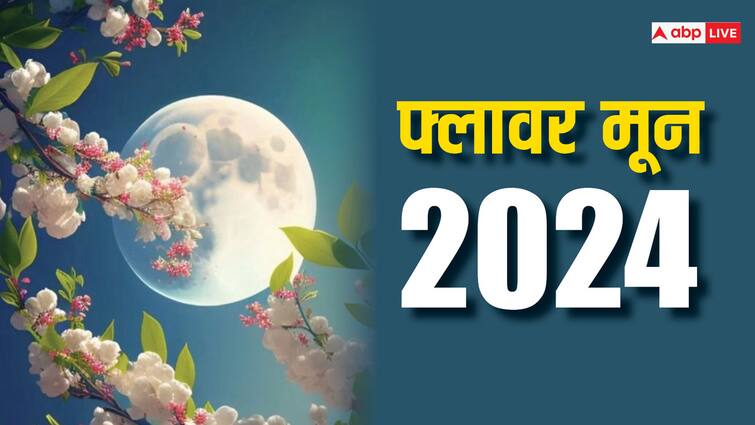 Flower Moon 2024 seen in sky on 23 may vaishakh Purnima buddha Jayanti know time and details Flower Moon 2024: बुद्ध पूर्णिमा पर आसमान में दिखेगा फ्लावर मून, जानिए क्या है इस दिन फूल और चंद्रमा का क्नेक्शन