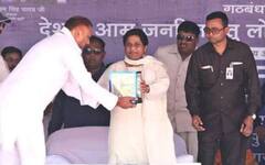 Lok Sabha Elections 2024: सुल्तानपुर में अखिलेश यादव ने रातों-रात ऐसा क्या किया कि लोग कह रहे हैं चुनाव पलट गया!