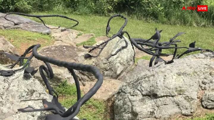 दी गई तस्वीर में आपको चट्टान जैसे दिखने वाले पत्थरों पर काली लकड़ी दिखाई पड़ रही है,बस इन्हीं में एक राज छिपा हुआ है जो आपको ढूंढ कर निकालना है.