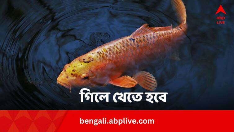 Fish Prasadam Asthma Relief By Eating Raw Fish Know Why Fish Chosen For Treatment In Bengali Fish Prasadam: হাঁপানি সারবে জ্যান্ত মাছ গিললে ? কেন এই আজব পথ্য দীর্ঘ দিন ধরে জনপ্রিয় ?