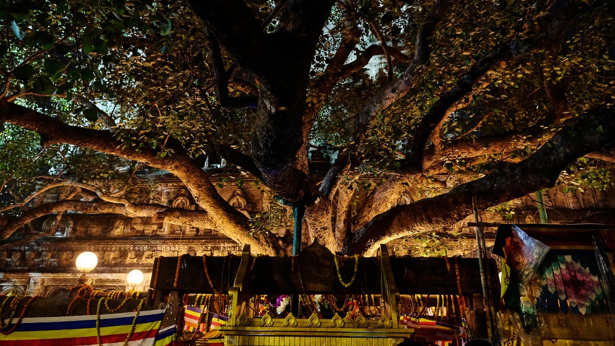 Explore Bodh Gaya: The Spiritual Epicenter Where Lord Buddha Found Enlightenment