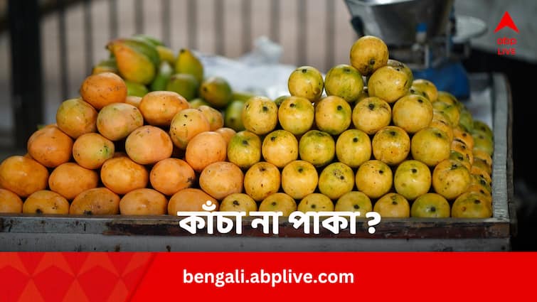 Raw Or Ripe Mango Which One Is Better In Diabetes In Bengali Mango In Diabetes: কাঁচা আম না পাকা আম ? সুগারে কোনটা ভাল, কেন ভাল