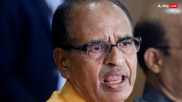 देश की राजधानी दिल्ली में समाचार एजेंसी एएनआई से बातचीत के दौरान बुधवार (22 मई, 2024) को बीजेपी नेता बोले, 