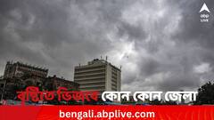 West Bengal Weather Update: বজ্রবিদ্যুৎ সহ বৃষ্টিতে ভিজবে কোন কোন জেলা? কী পূর্বাভাস আবহাওয়া দফতরের