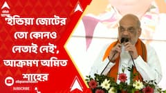 Amit Shah on INDIA Alliance: 'ইন্ডিয়া জোটের তো কোনও নেতাই নেই', আক্রমণ অমিত শাহের