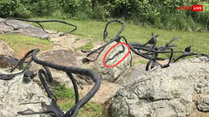 तस्वीर का जवाब दिया जा चुका है,पूछे गए सवाल को आप अपने दोस्तों के साथ शेयर कीजिए और उन्हें भी सोचने का मौका दीजिए.