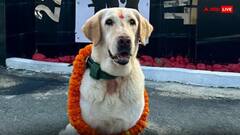 Army Dog: आर्मी डॉग को मिला रिटायरमेंट का शानदार गिफ्ट, ट्रेन के फर्स्ट एसी में सफर करने का मिला मौका