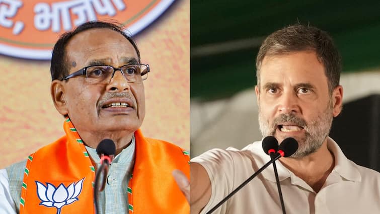 BJP Shivraj Singh Chouhan Sonia Gandhi imposing Rahul Gandhi On Raebareli tharoor responds video Sonia 'Imposing' Rahul Gandhi On Raebareli, Says BJP, Tharoor Responds: WATCH
