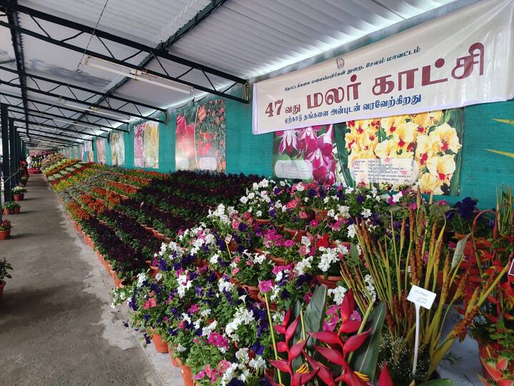 ஏற்காட்டில் 47வது கோடை விழா மற்றும் மலர் கண்காட்சி இன்று தொடங்கியது. இன்று தொடங்கும் மலர் கண்காட்சி வருகின்ற மே 26 ஆம் தேதி வரை ஐந்து நாட்கள் நடைபெற உள்ளது.