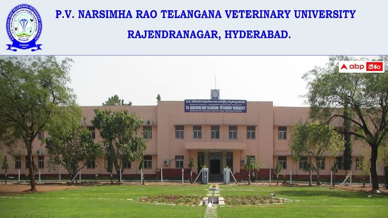 pv narasimha rao telangana veterinary university invites applications for admission into phd course PVNRTVU: తెలంగాణ వెటర్నరీ వర్సిటీలో పీహెచ్‌డీ కోర్సులు - దరఖాస్తు, ఎంపిక వివరాలు ఇలా
