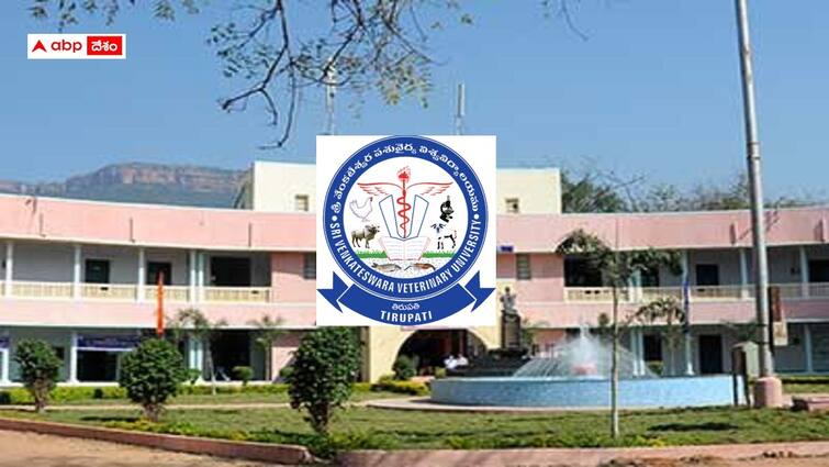 sri venkateswara veterinary university invites applications for admission into mvsc course SVVU: శ్రీవెంకటేశ్వర వెటర్నరీ యూనివర్సిటీ ఎంవీఎస్సీ కోర్సు, ప్రవేశం ఇలా