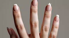 Science GK: મનુષ્યથી લઇ જાનવરો સુધી.... બધાની પાંચ આંગળીઓ જ કેમ હોય છે ?