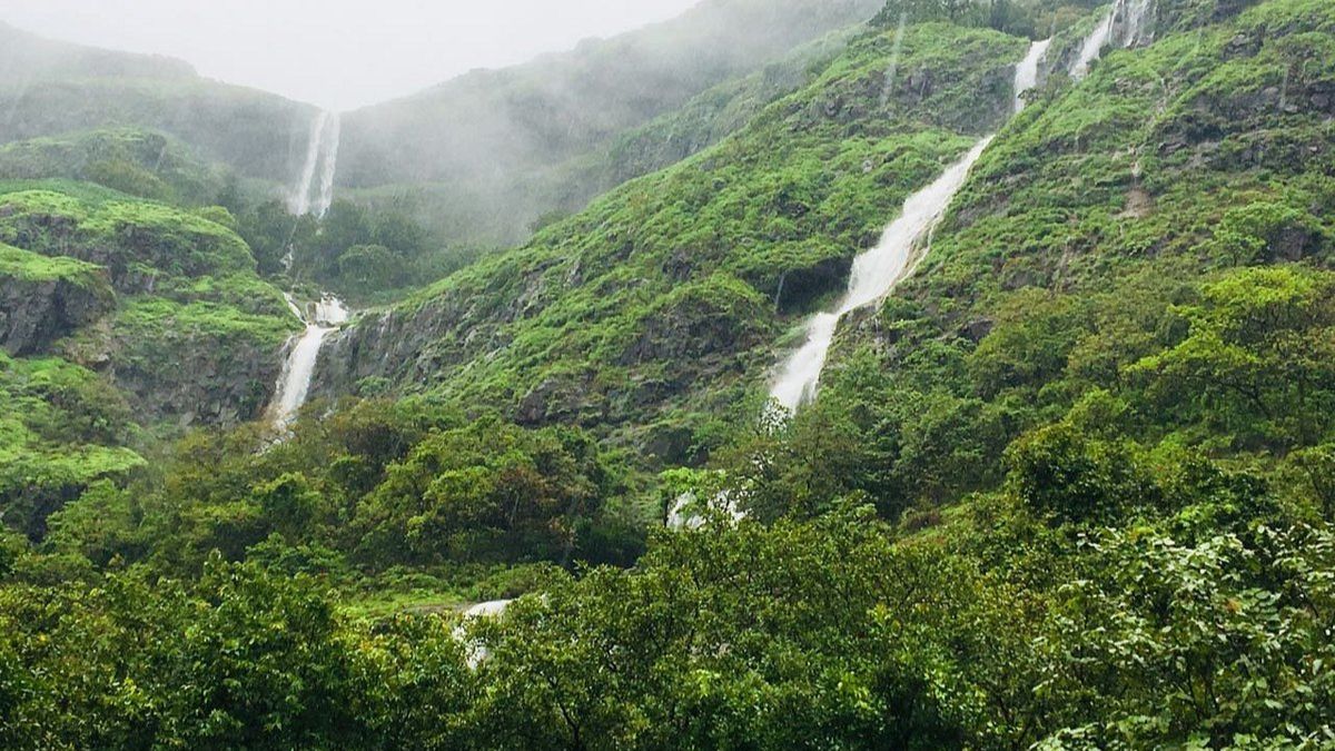 Travel : वॉटर पार्क विसराल.. पुण्याजवळील या 3 धबधब्यांखाली येईल मजा! कमी बजेटमध्ये मुलं होतील खूश