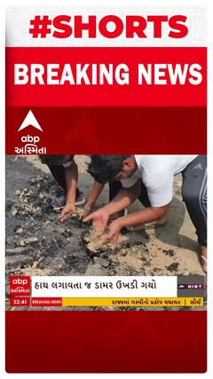 Valsad | નવા રોડ બન્યાના બે દિવસમાં જ ડામર લાગ્યો ઉખડવા... જુઓ વીડિયો