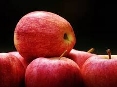 Diabetes Fruits: ડાયાબિટીસના દર્દીઓએ રોજ સવારે ઉઠીને ખાવા જોઈએ આ 5 ફળ, કંટ્રોલ થશે બ્લડ શુગર