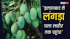 'इलाहाबाद से लंगड़ा चला लाहौर तक पहुंचा'...  आम का वो किस्सा, जिसके बाद पाकिस्तान से अकबर के पास आया ये मैसेज