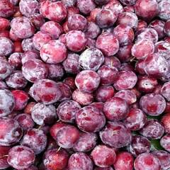 Phalsa Fruit : ਆਹ ਫਲ ਗਰਮੀਆਂ ਦੇ ਮੌਸਮ 'ਚ ਹੈ ਬੜਾ ਫਾਇਦੇਮੰਦ ਬਚਾਉਂਦਾ ਹੈ ਹੀਟ ਸਟ੍ਰੋਕ ਤੋਂ