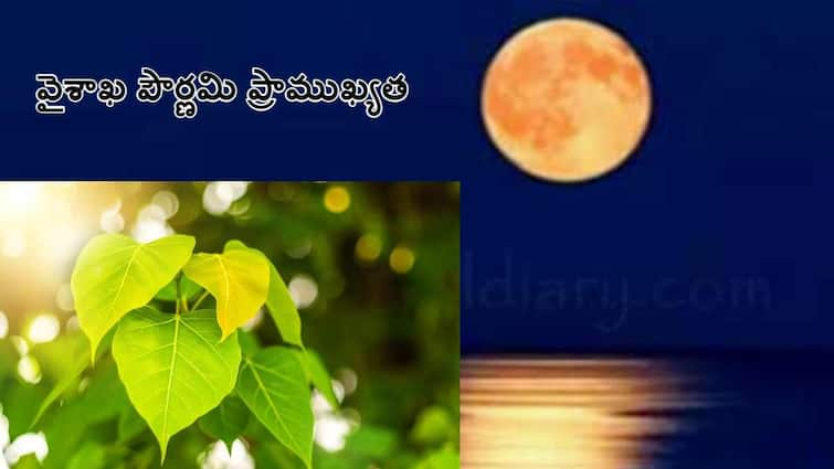 vaishaka pournami 2024 puja vidhanam and Religious Importance of Peepal Tree Vaishakha Purnima 2024: మీ జాతకంలో ఉండే దోషాలకు అద్భుతమైన పరిష్కారం చూపే వైశాఖ పౌర్ణమి!