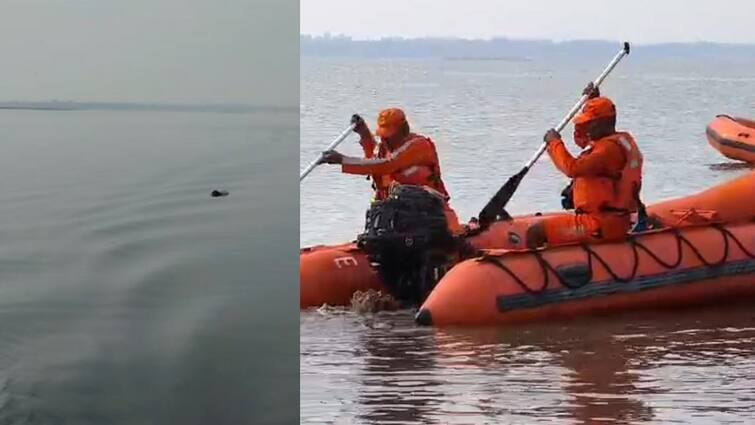 Ujani dam rescue operation three dead bodies found NDRF Team Ujani dam: 36 तास शोध घेऊन कोणीही दिसलं नाही,  अखेर सकाळी चार कलेवरं पाण्यावर तरंगताना दिसली, उजनी दुर्घटनेतील 4 मृतदेह सापडले