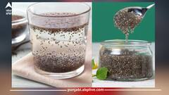 Chia Seeds Benefits: ਚੀਆ ਸੀਡਜ਼ ਸਿਹਤ ਲਈ ਹੀ ਨਹੀਂ ਸਗੋਂ ਸਕਿਨ ਲਈ ਵੀ ਫਾਇਦੇਮੰਦ, ਇੰਝ ਕਰੋ ਡਾਈਟ ਦੇ ਵਿੱਚ ਸ਼ਾਮਿਲ