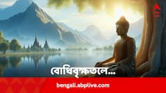 তিন দিনব্যাপী মহোৎসবের সূচনা বোধগয়াতে, বুদ্ধ পূর্ণিমায় অতিথি থাইল্যান্ডসহ বিভিন্ন দেশ