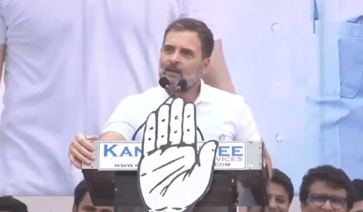 राहुल गांधी ने कहा कि जिनको परमात्मा ने भेजा है वो ऐसे वक्त में मोबाइल की फ्लैश लाइट जलाने की बात कर रहे थे. उन्होंने कहा कि युवाओं द्वारा रोजगार मांगने पर पीएम ‘नाली से गैस’ वाला आइडिया देते हैं.