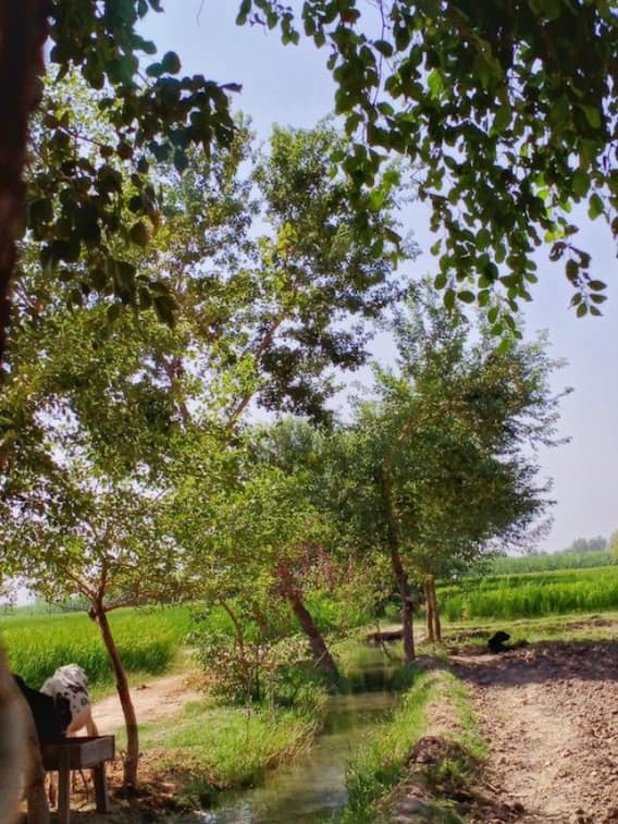 सोनीपत का सबसे बड़ा गांव कौन-सा है?